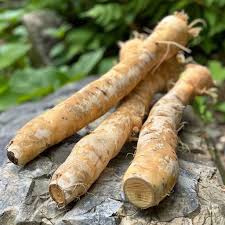 Wild Yam Roots