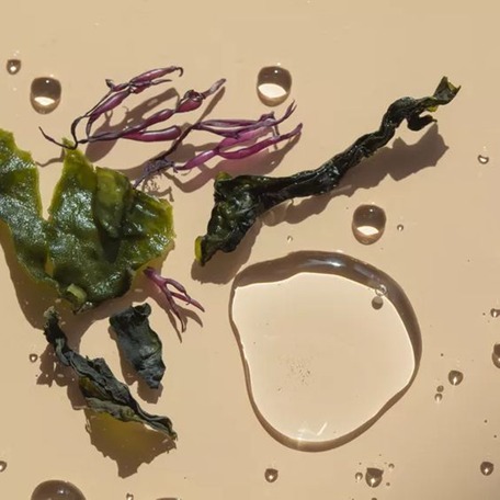Seaweed Extract -A Natural Wonder for Skincare & Health